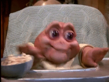 xjct0d8qfwnv.gif
