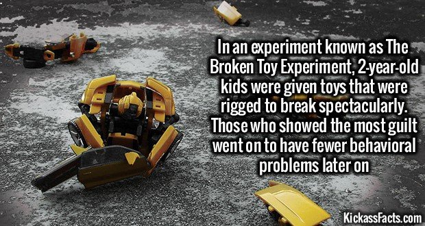 1282-Broken-Toy-Experiment.jpg