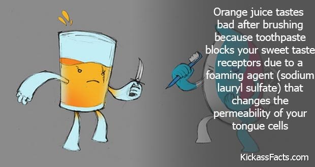 208toothpaste-orange-juice.jpg