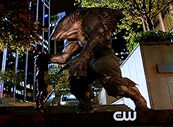 tumblr_nwwpc5fH8J1uvcgjlo2_250.gif
