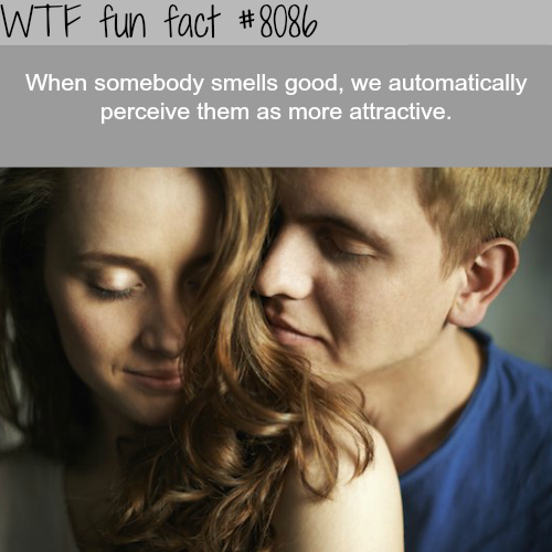 tumblr_oyrb82j5Fh1roqv59o1_500.png
