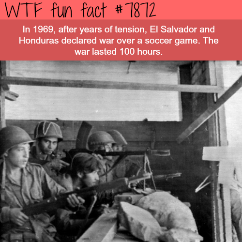 tumblr_ovb86dlf3h1roqv59o1_500.png