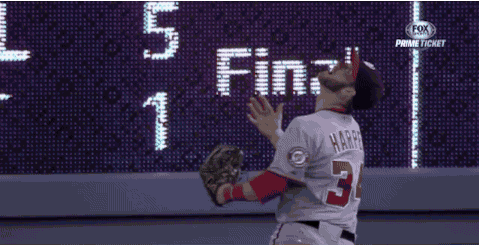 giphy-11.gif