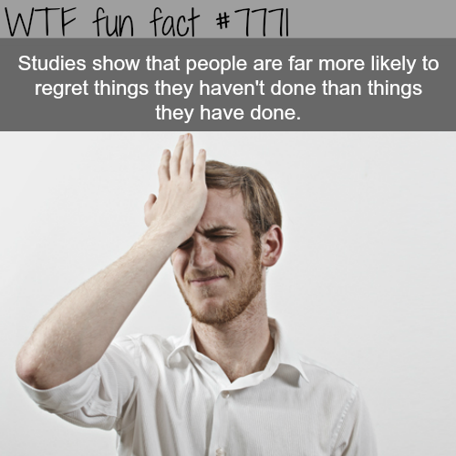 tumblr_otzh3ycMiF1roqv59o1_500.png