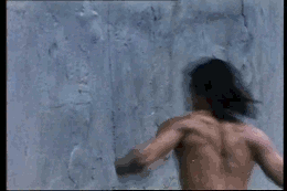 uckak6vm1pgq.gif