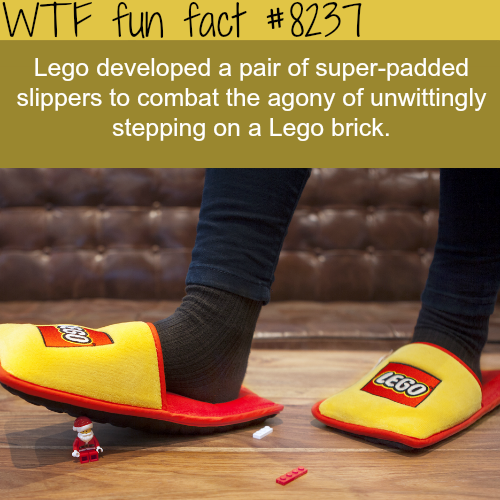 tumblr_p0z2tpok5F1roqv59o1_500.png