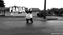 14p0qxdr8cco.gif