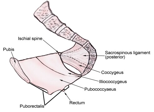 79926-79928-1894389-1974994.jpg