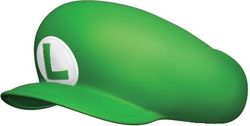 250px-SM64DS_Luigi'sHat.jpg