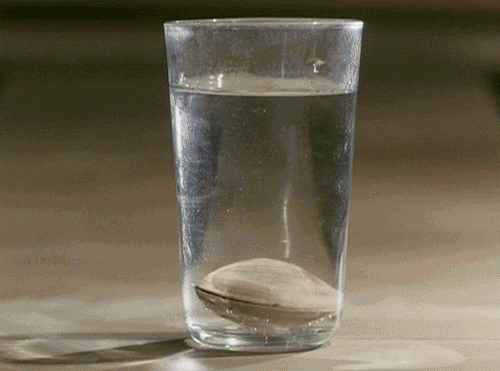 tumblr_mesk67U1Tm1qedb29o1_500.gif