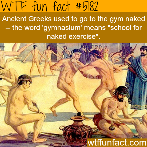 tumblr_o1ojk6YXox1roqv59o1_500.png