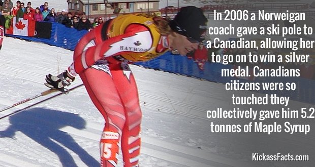 548SkierMapleSyrup.jpg