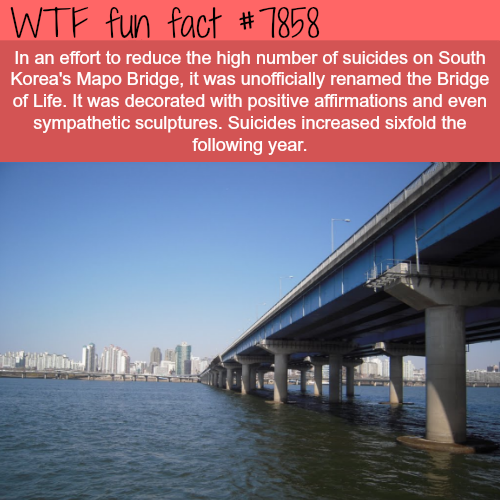 tumblr_ov5pebBp1H1roqv59o1_500.png