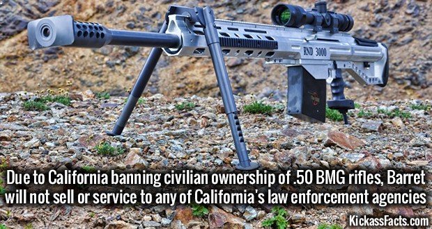 1162-.50-BMG-rifles.jpg