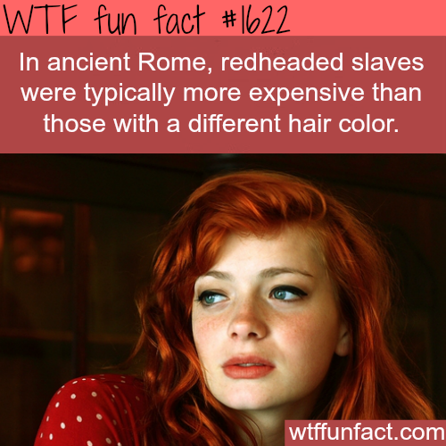 tumblr_moht71Sl971roqv59o1_500.png