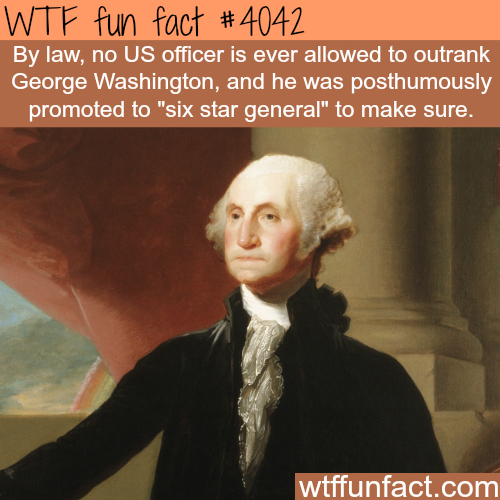 tumblr_np11tt8hg01roqv59o1_500.png