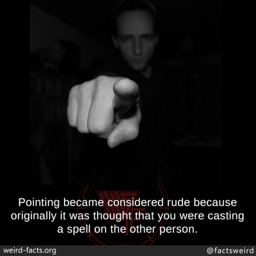 tumblr_owxh1lN8gD1szqwnwo1_500.jpg
