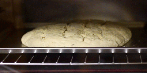 rising_bread.gif