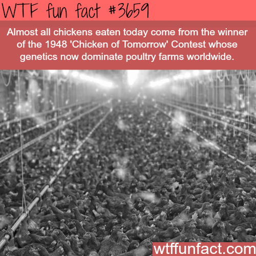 tumblr_nkm45bSWCG1roqv59o1_500.png