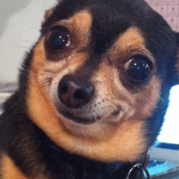 tkl9ddidlag4.gif