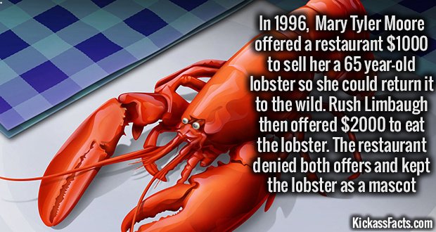 985-Spike-the-Lobster.jpg