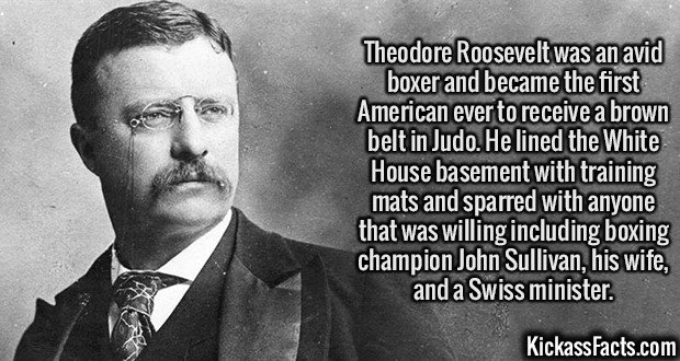 2062-Teddy-Roosevelt.jpg