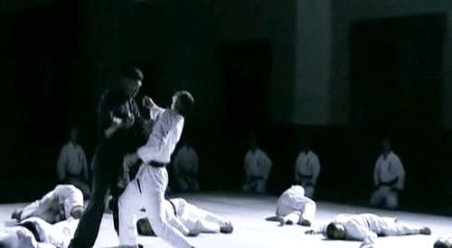 t7x32k5lxbi4.gif