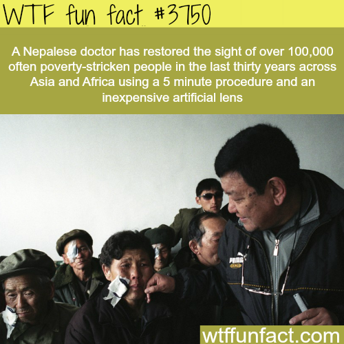 tumblr_nln3itXnKl1roqv59o1_500.png