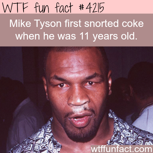tumblr_nqvv1hbFKd1roqv59o1_500.png