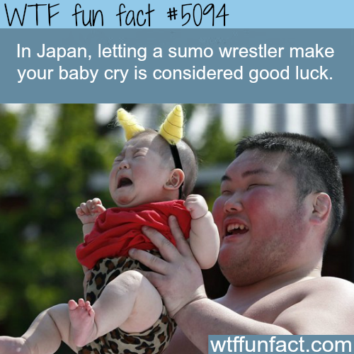 tumblr_o0o5daSlBm1roqv59o1_500.png