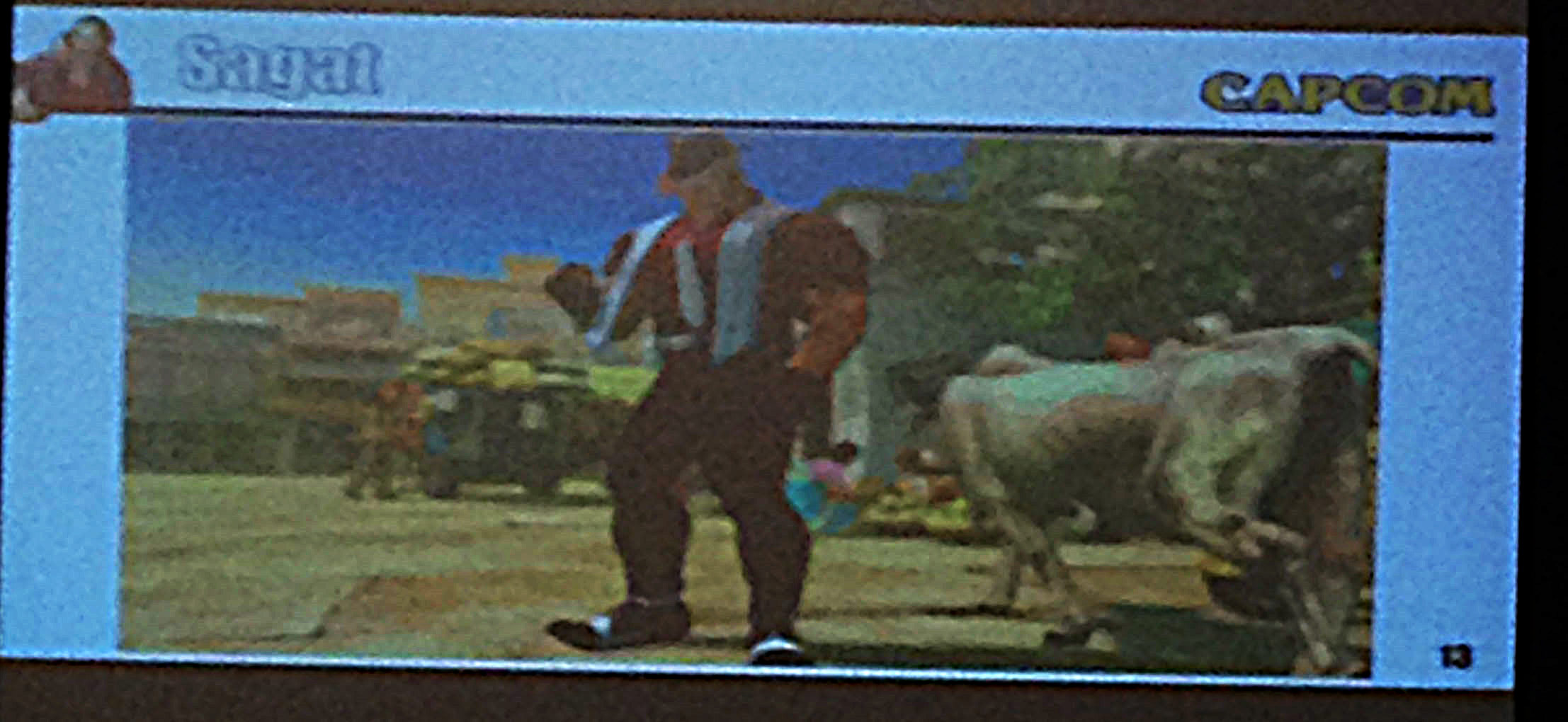 25_usf4dlc_03.jpg