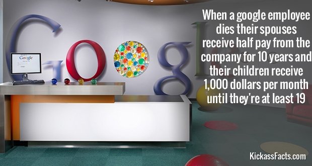 326GoogleEmployee.jpg