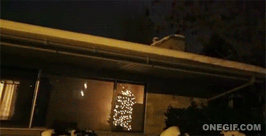 00v4xndskcd6.gif