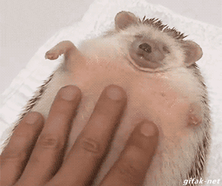tumblr_nurdhhAS4w1s2yegdo1_400.gif