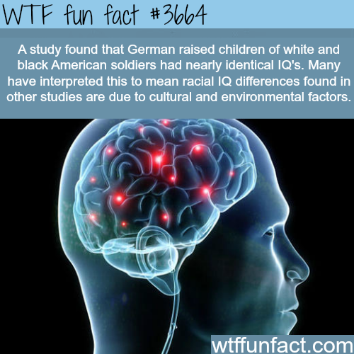 tumblr_nko18zYH831roqv59o1_500.png