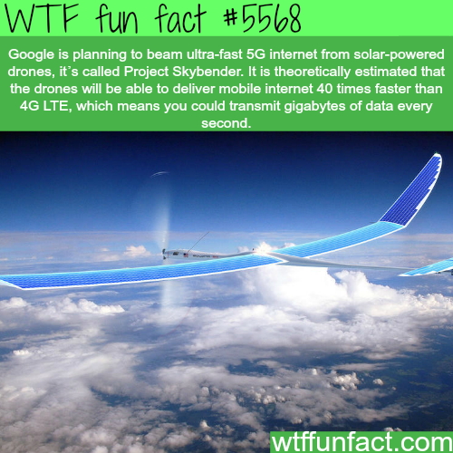 tumblr_o513rkTfkh1roqv59o1_500.png