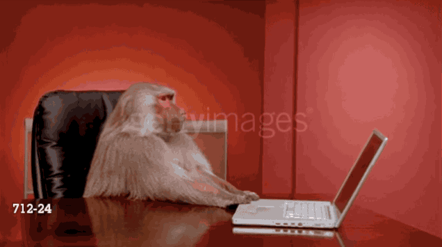1405868062234796614.gif