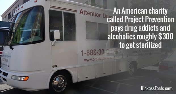 264Project-Prevention.jpg