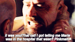 tumblr_mrf9jmNLgX1qe9xjqo1_250.gif