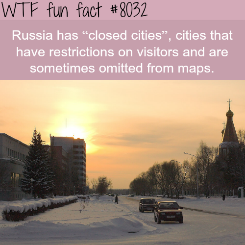 tumblr_oxtqegfVQy1roqv59o1_500.png