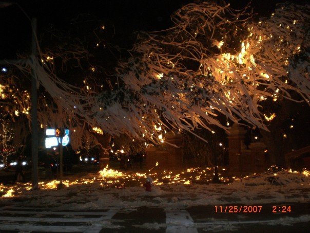 toomers-fire.jpg