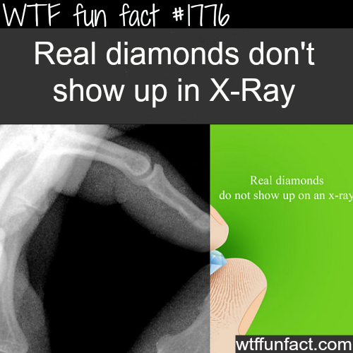 tumblr_mrkw66mhAt1roqv59o1_500.png