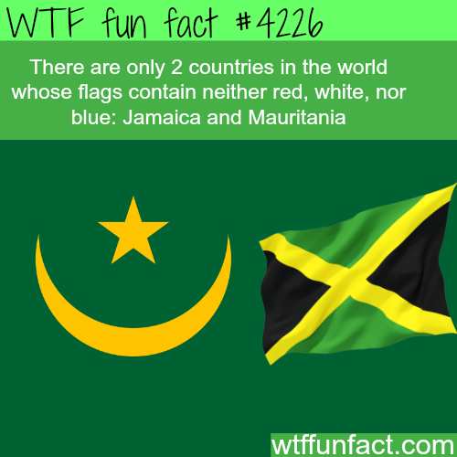 tumblr_nqz7j3jgqM1roqv59o1_500.png