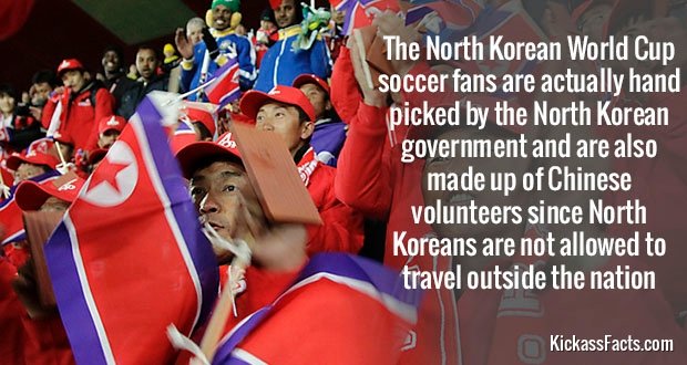 535NK-Soccer-Fans.jpg