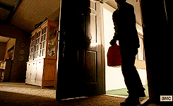 tumblr_ms4e55s9n01qb4op4o6_250.gif