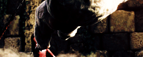 tumblr_olryd3dnnC1tnvsx0o3_500.gif