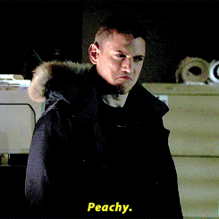 tumblr_nwjt6bzFIj1tnvsx0o3_250.gif