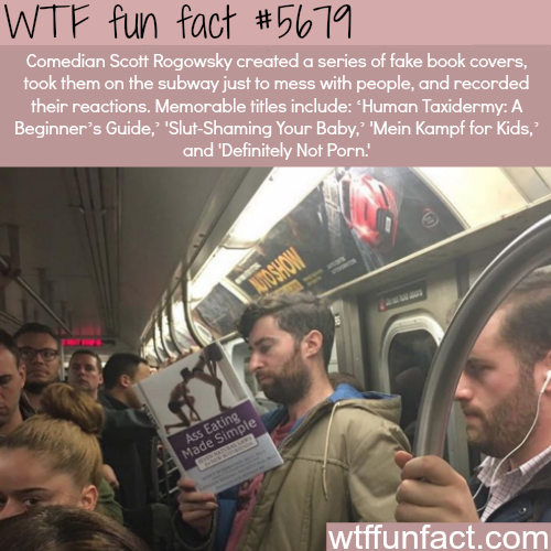 tumblr_o6bb2r9Okb1roqv59o1_500.png