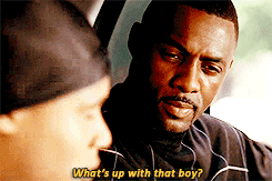 tumblr_mrhtbxLuhq1qg1qx9o1_r1_250.gif
