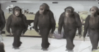 7a63bee8e91ed006d540f73f972b84f9.gif